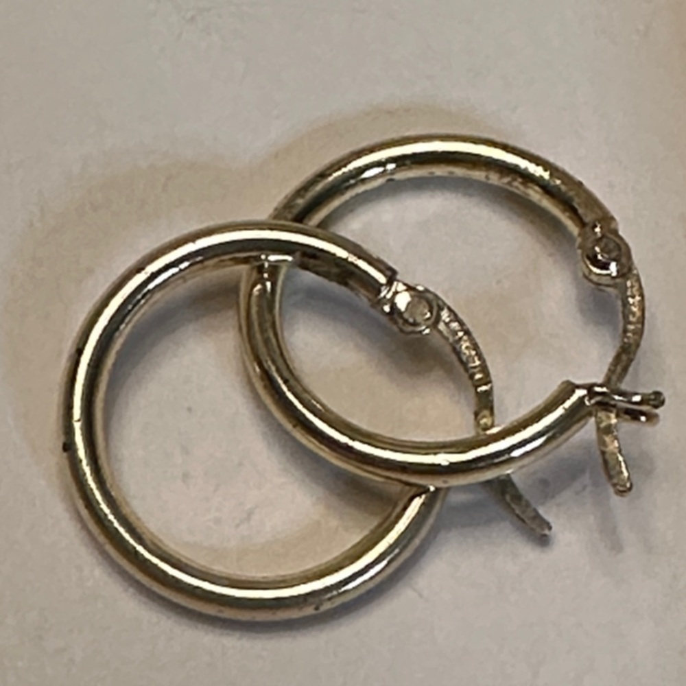 Elegant Gold Hoop Earrings